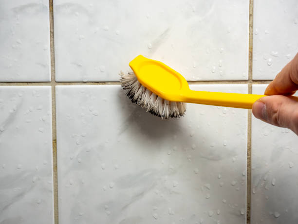 Best Localized Mold Remediation (e.g., coastal areas, humid climates) in Rockfish, NC
