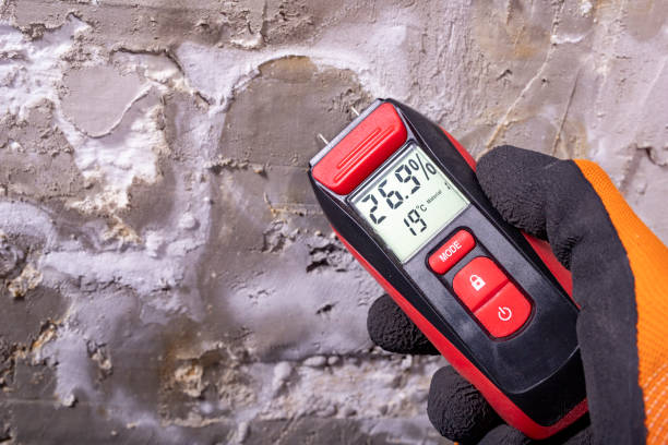 Best Industrial Mold Remediation in Rockfish, NC